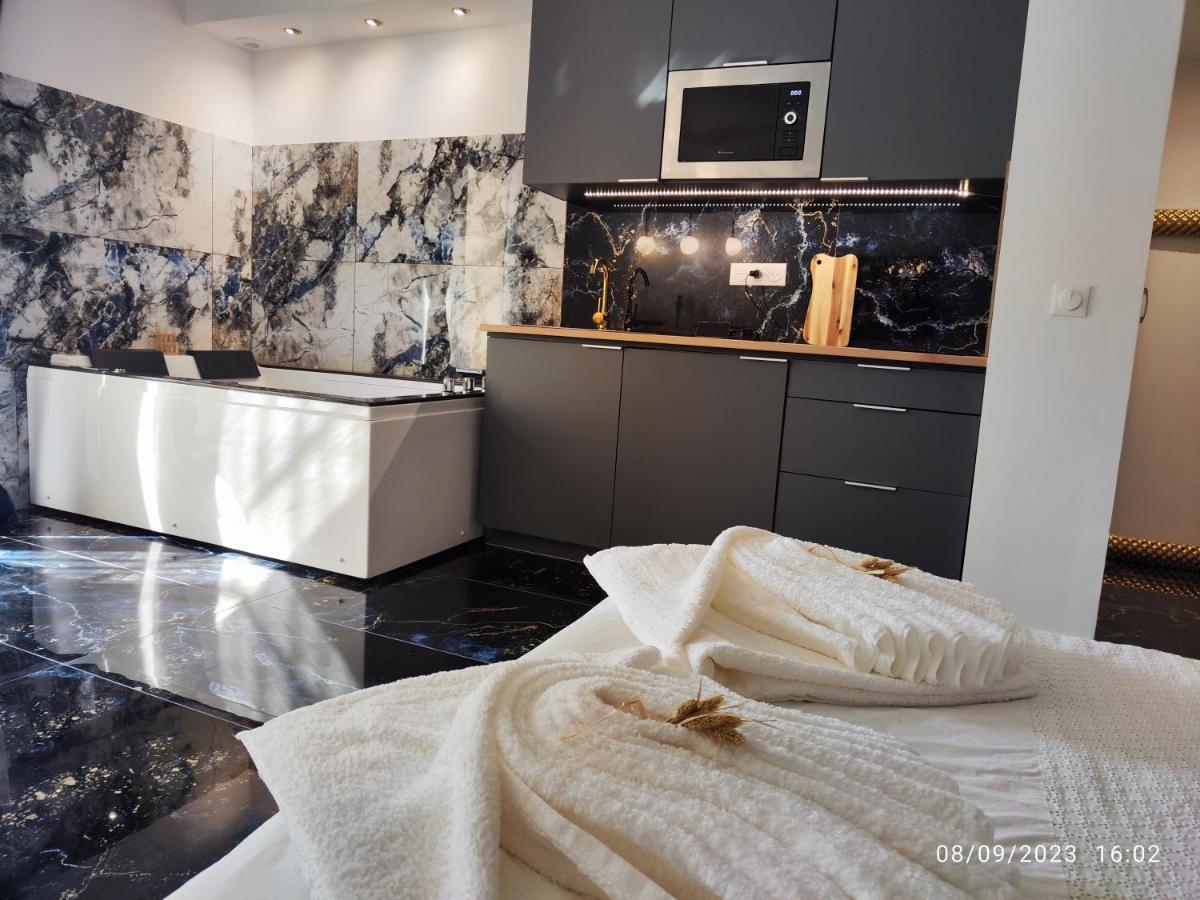 Studio Avec Jaccuzzi Saintry-sur-Seine Luaran gambar